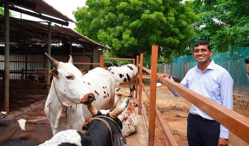 Sid’s Farm: A dairy farm that provides farm-fresh milk to consumers at their doorstep