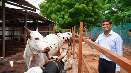 Sid’s Farm: A dairy farm that provides farm-fresh milk to consumers at their doorstep