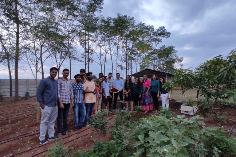 Plantation at Farm