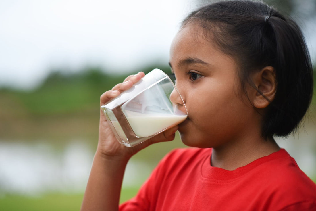 How Your Child’s Daily Glass of Milk might be Contributing to Antimicrobial Resistance